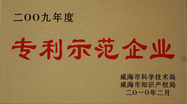 專(zhuān)利示范企業(yè)