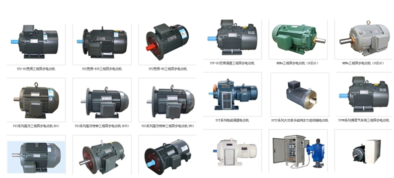 部分高效電機、特種電機產(chǎn)品