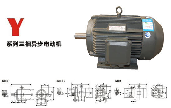 電動機(jī)