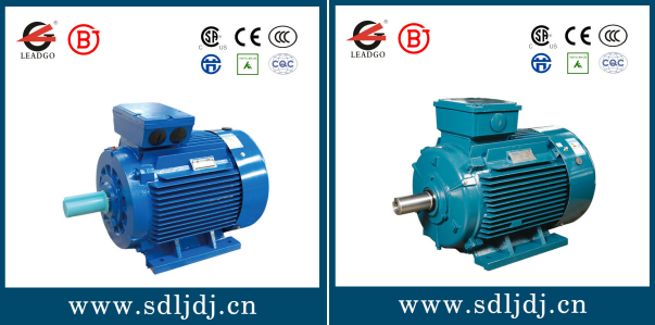 YX3高效電機(jī)和YE3超高效電機(jī)
